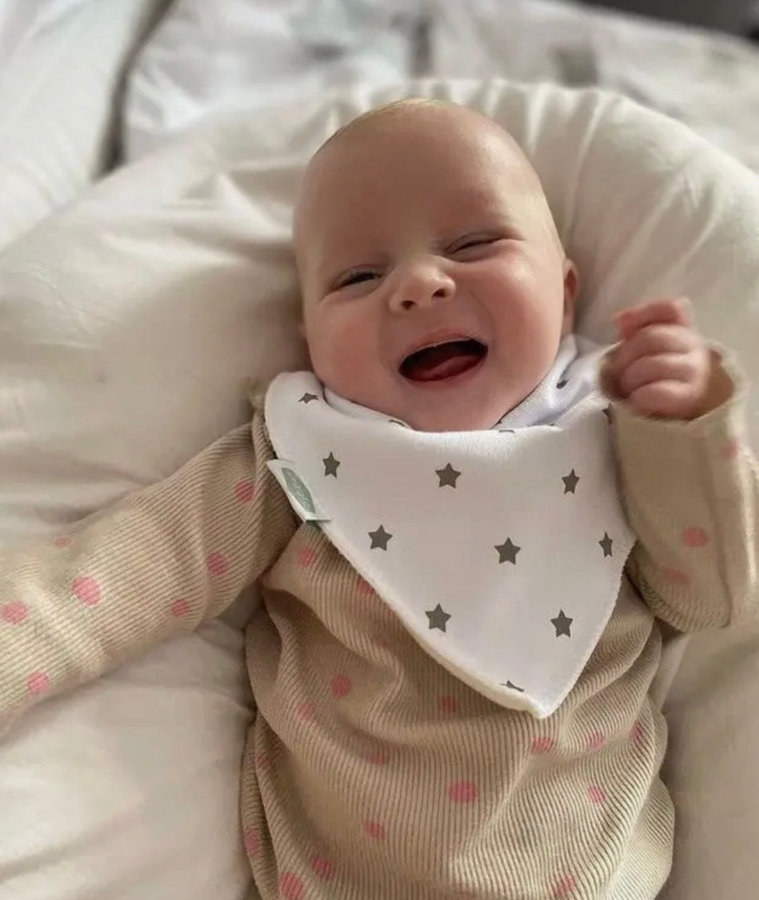 Grey Star - Bandana Dribble Bibs