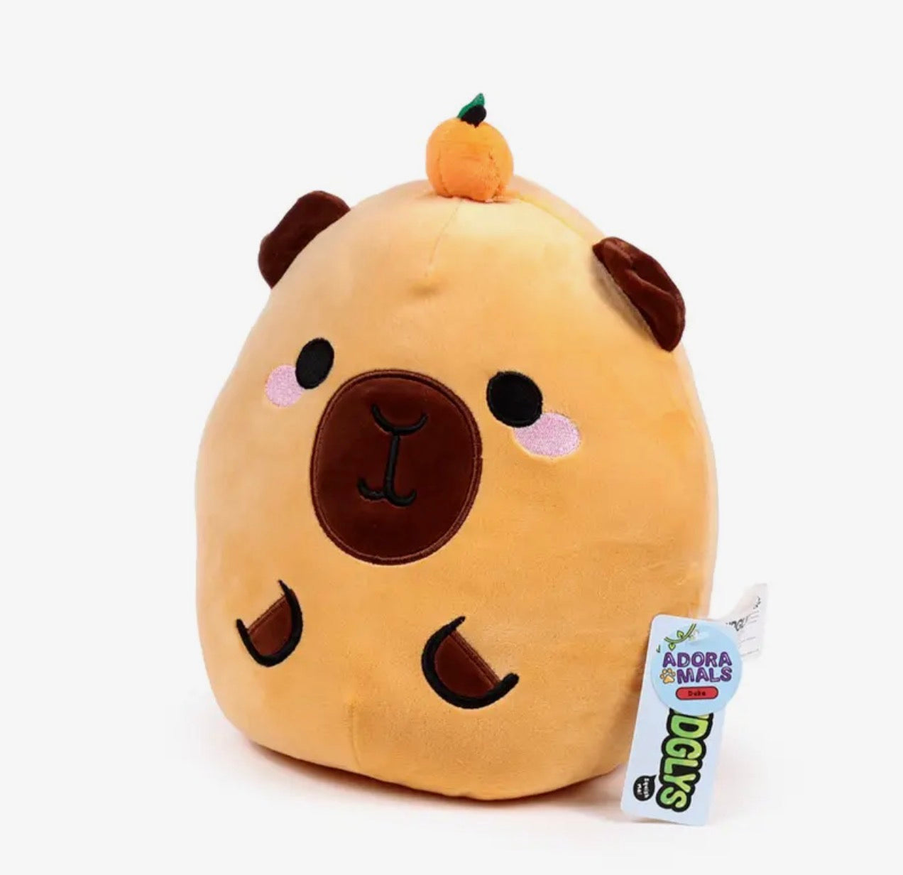 Squidgy Capybara Plush Toy – 26cm