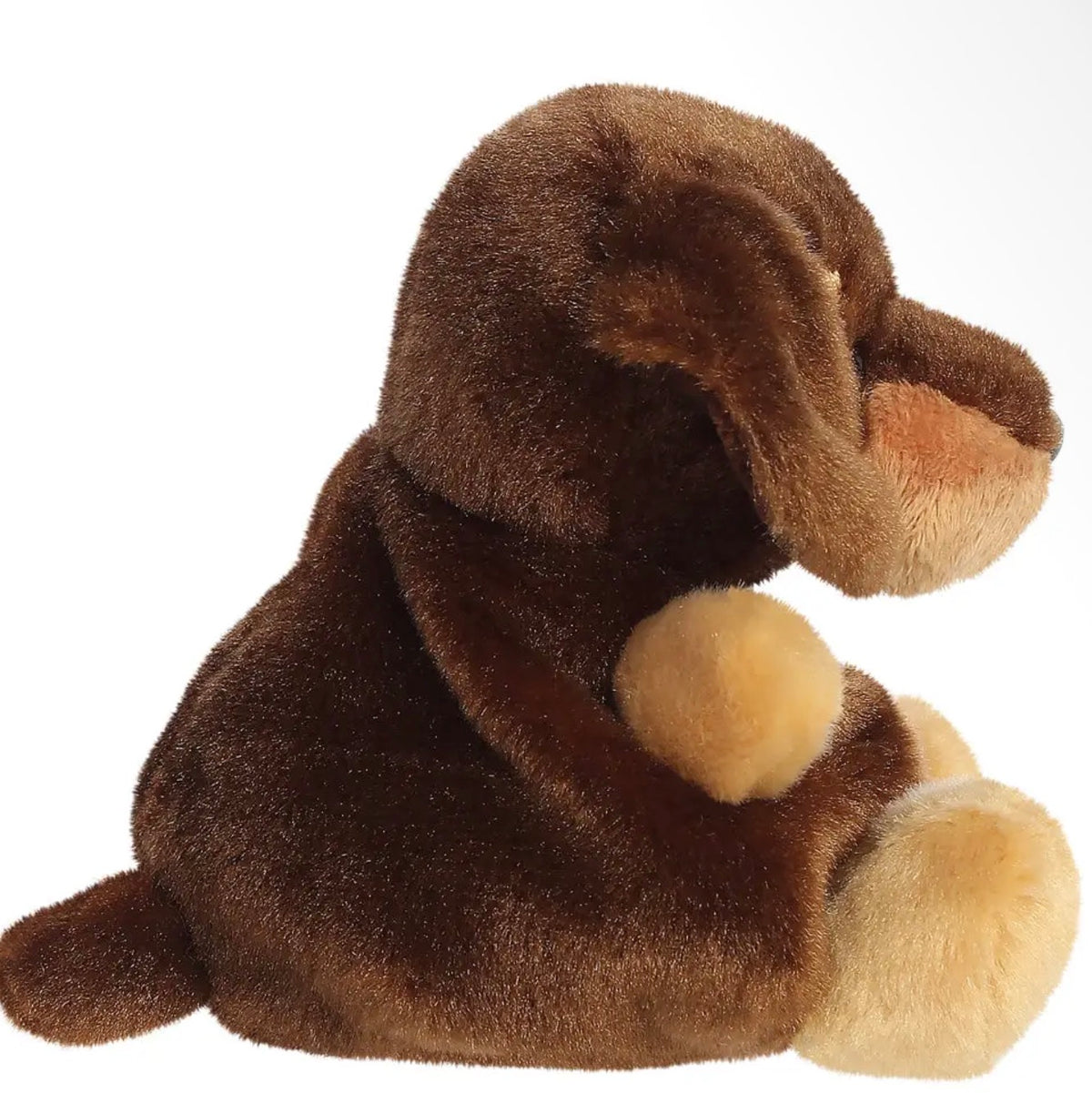 Palm Pals Houdini Dachshund Soft Toy