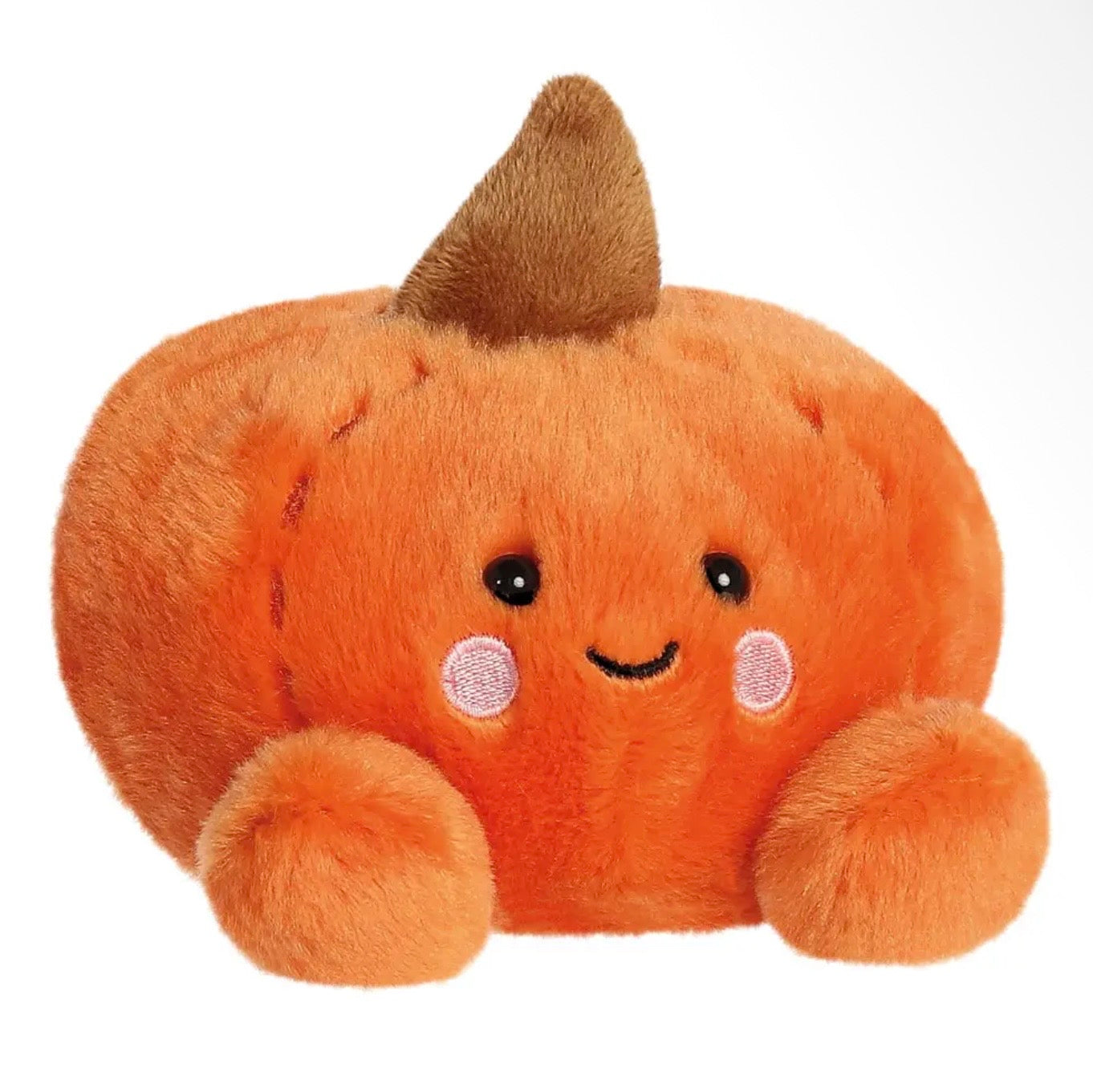 Paisley Pumpkin Palm Pet
