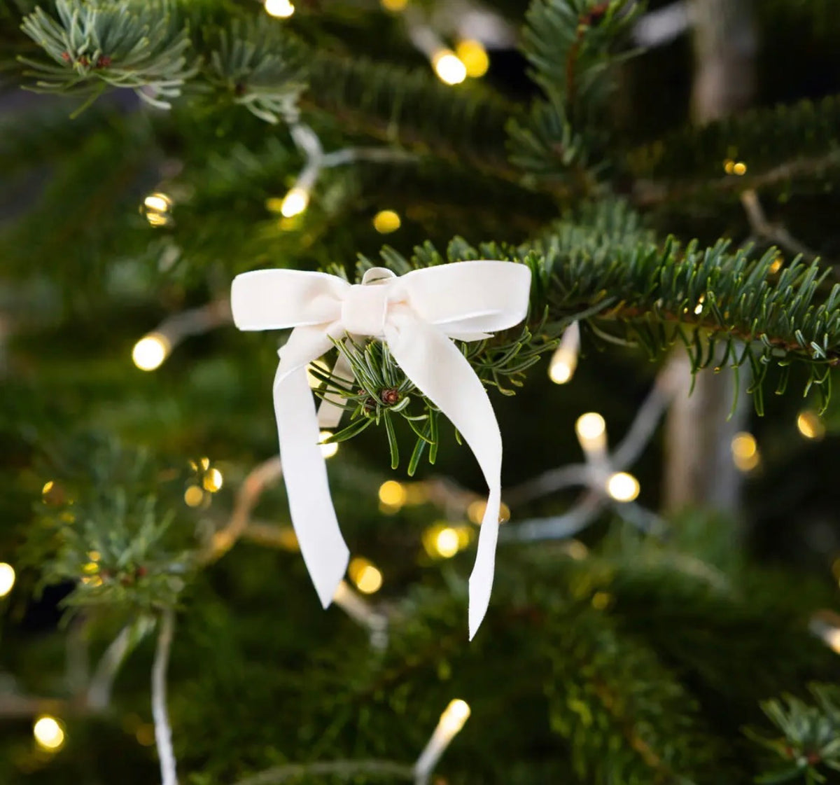 Talking Tables Green & Cream Velvet Christmas Bows – Pack of 8