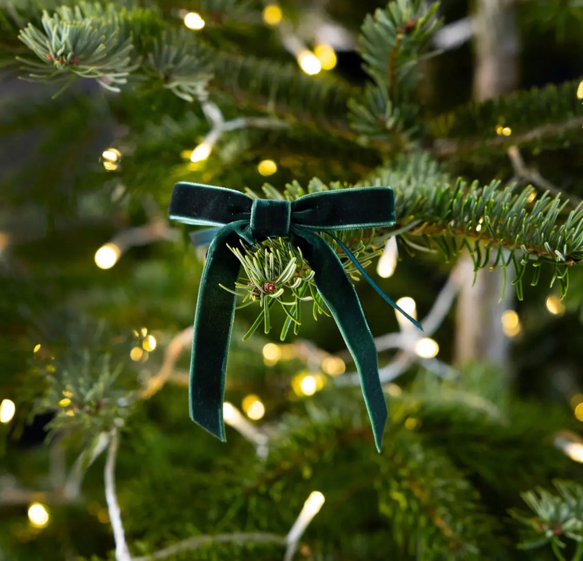 Talking Tables Green & Cream Velvet Christmas Bows – Pack of 8