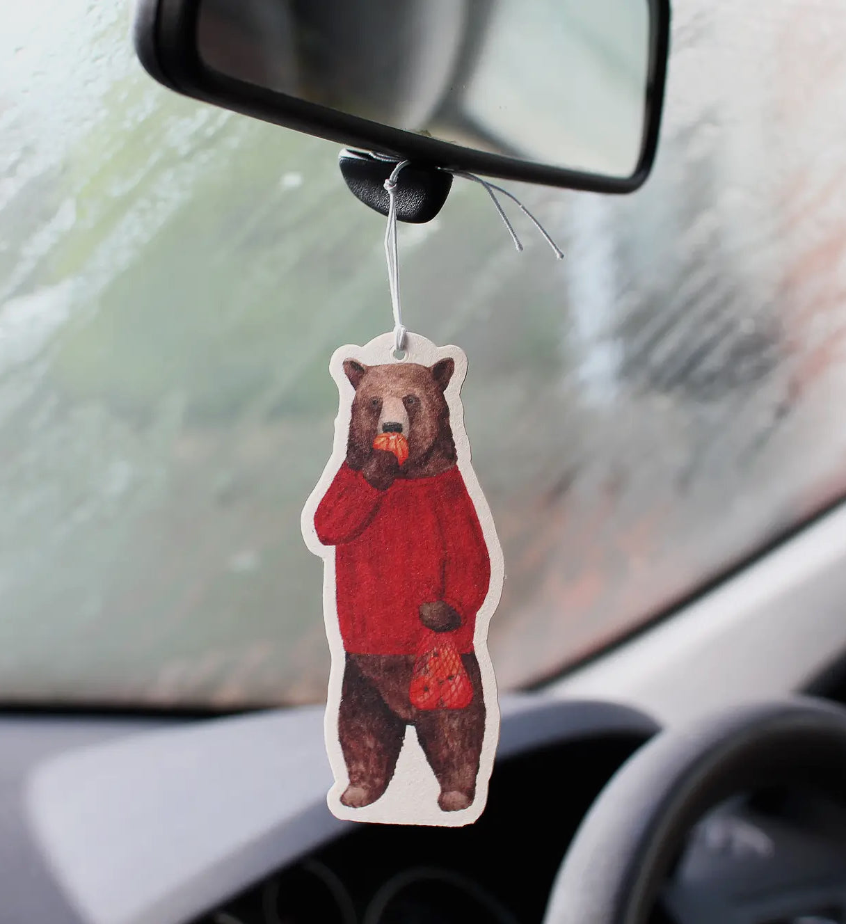 Air freshener for Car or Home
