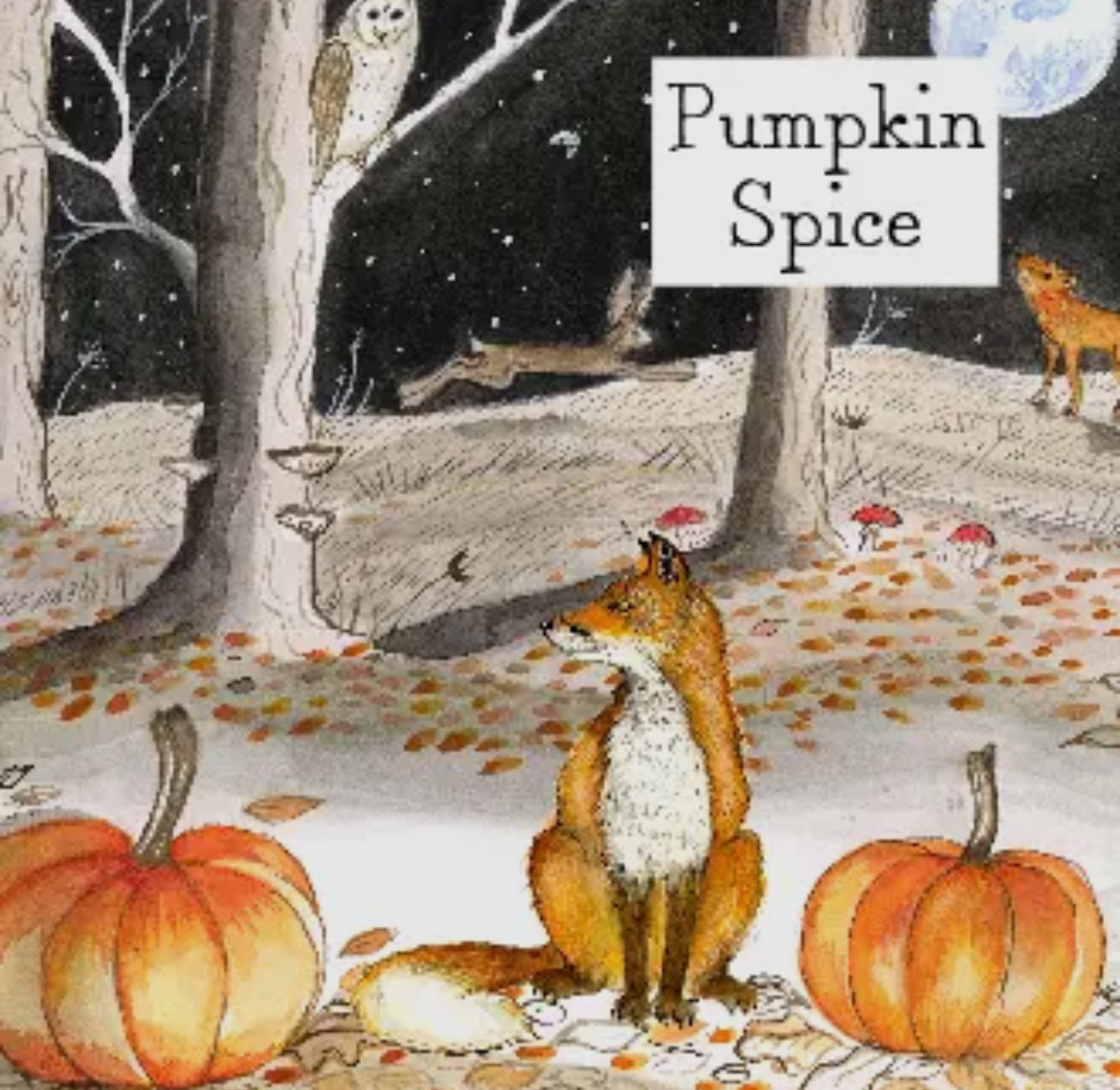 A close up on the illustrated outer box of the pumpkin spice candle. 